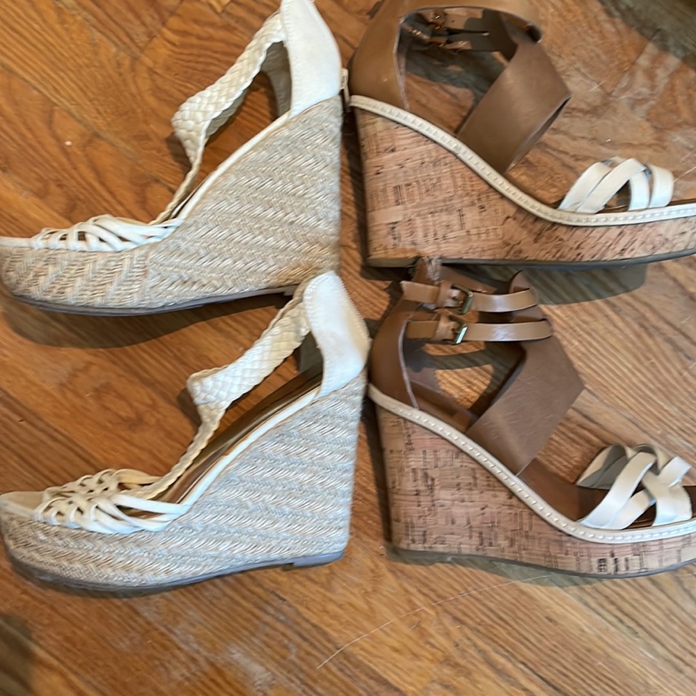 Bundle of Wedges